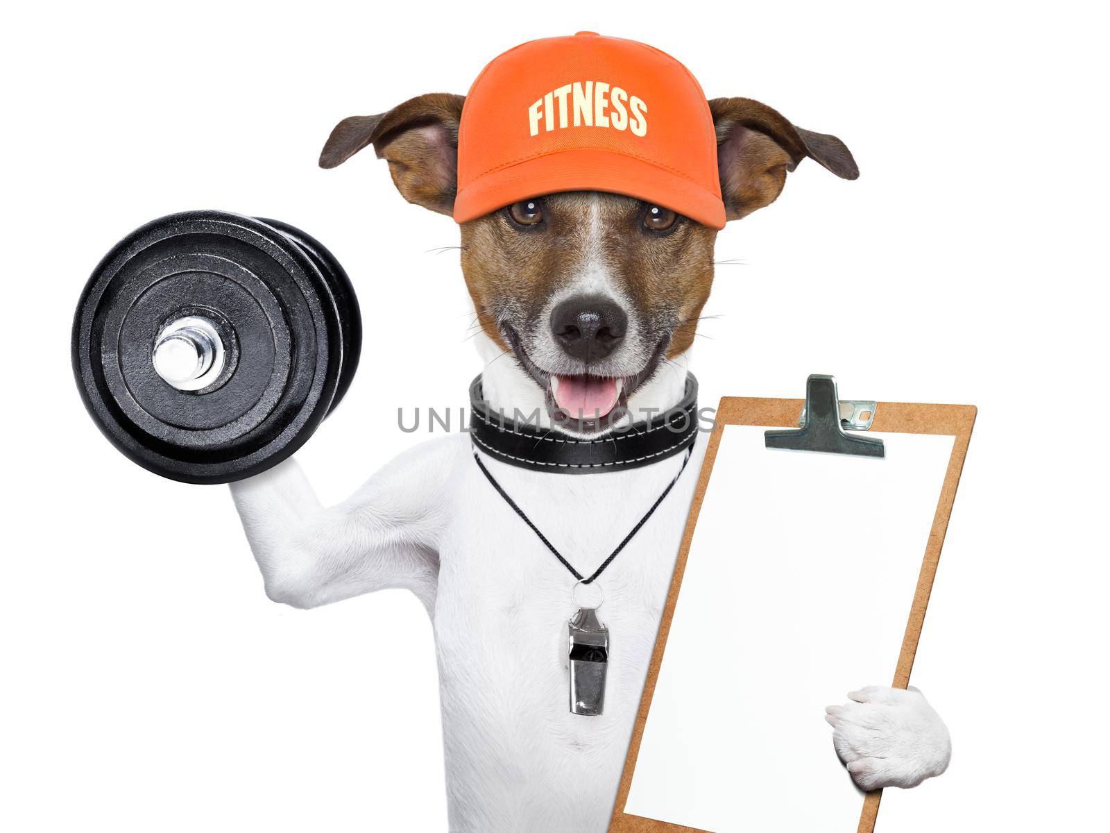 fitness dog by Brosch