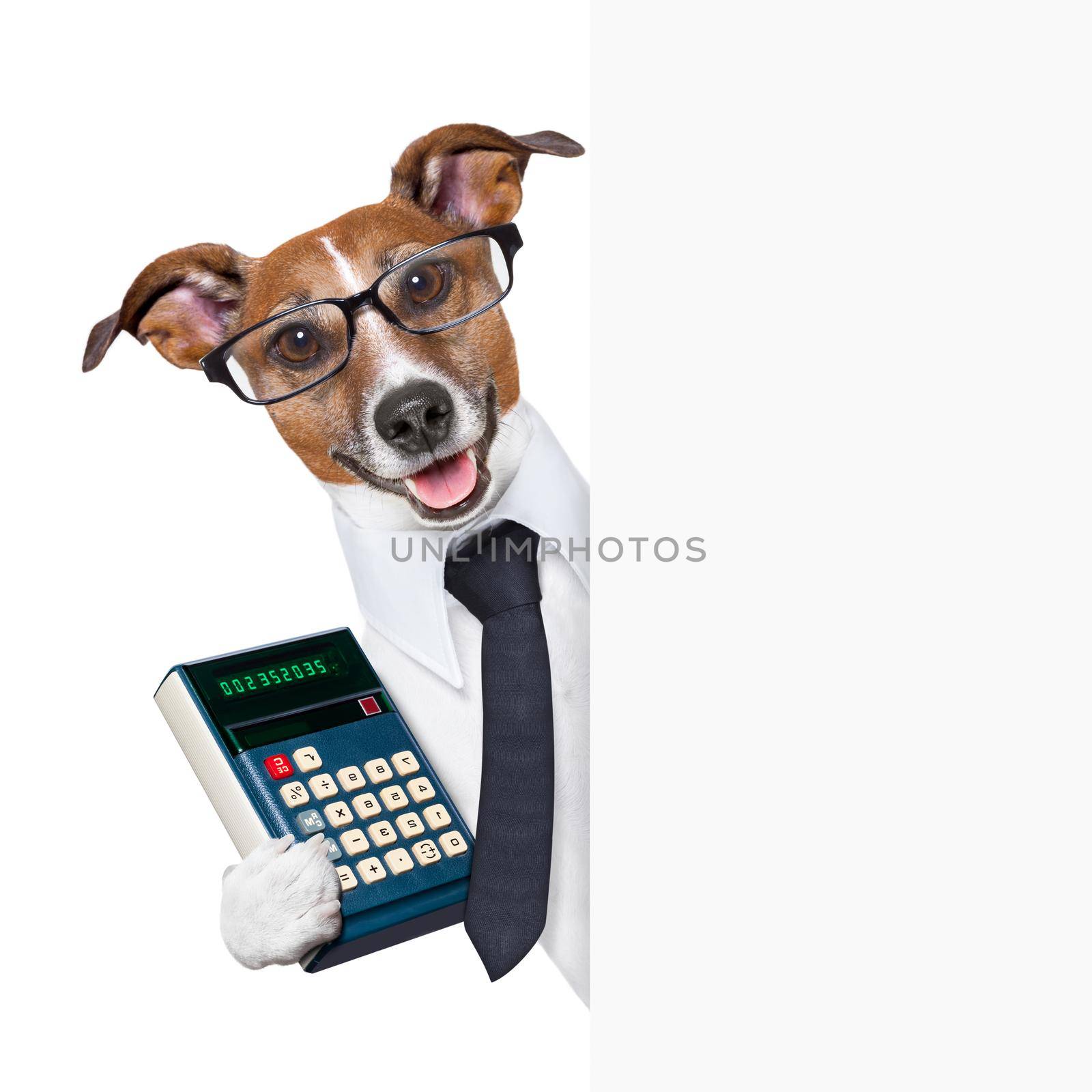 accountant dog behind blank page wearing a suit