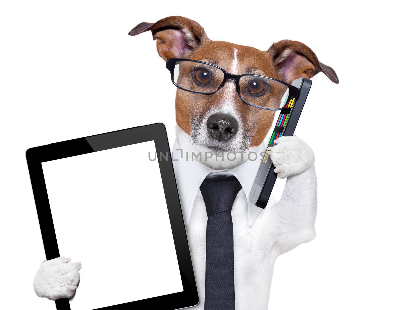business dog with a tie , glasses ,tablet pc and smartphone dog with smartphone and a tablet pc