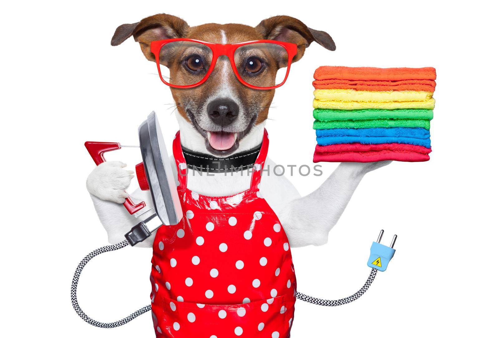 housewife dog ironing with a red apron and a stack of colorful towels
