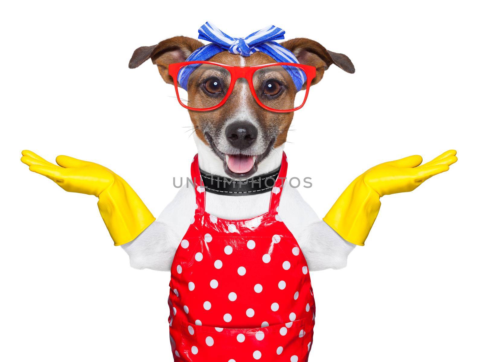 housewife dog  with open arms , happy to help