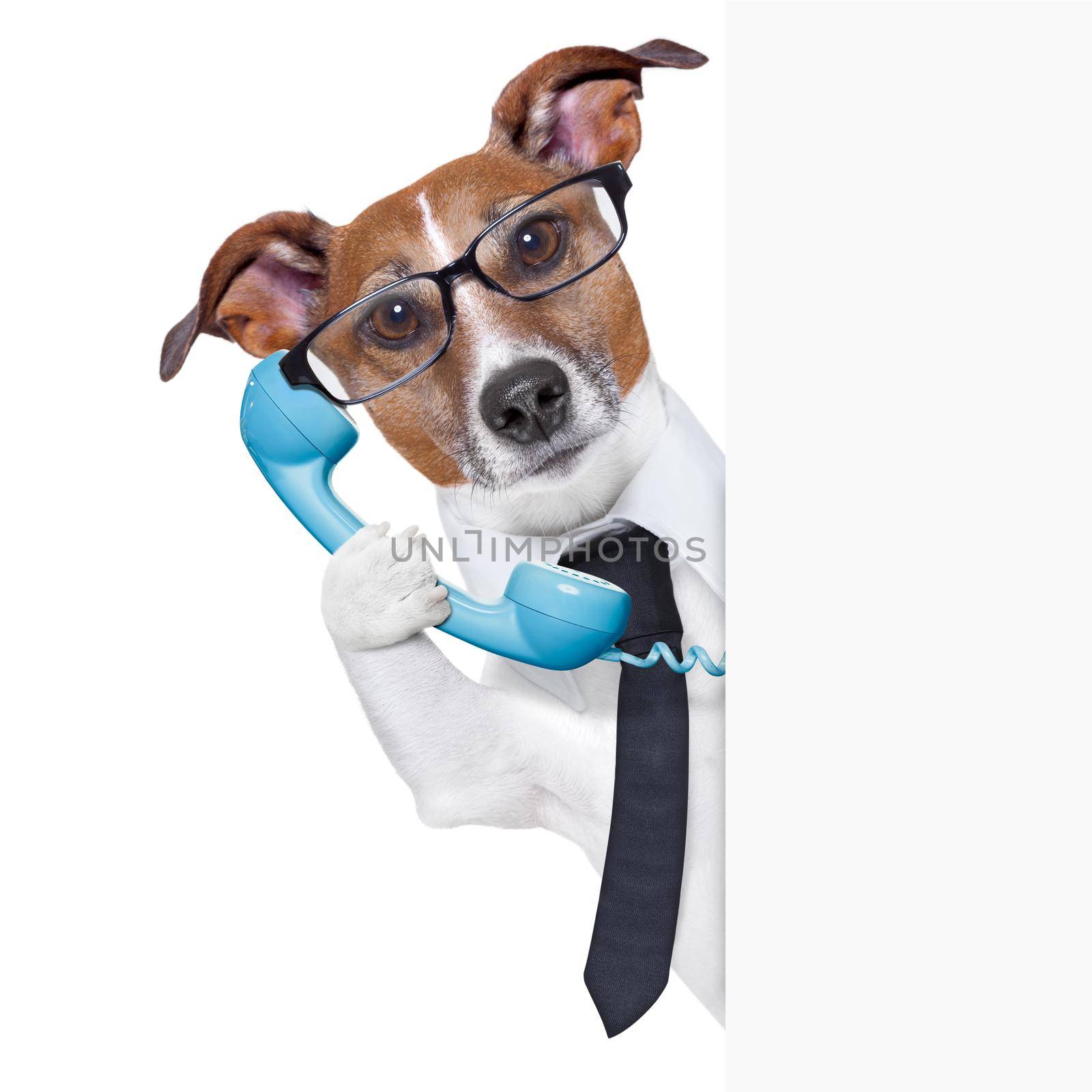 business dog by Brosch