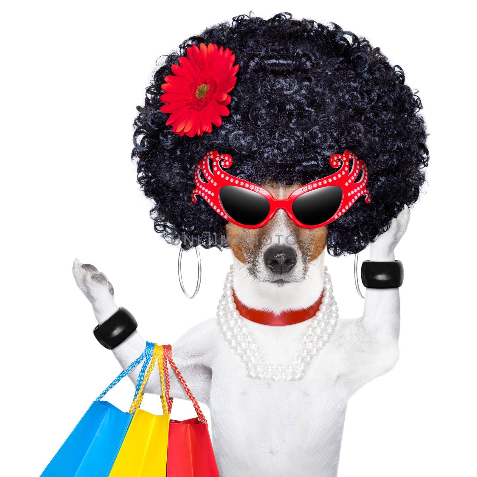 shopaholic diva dog by Brosch