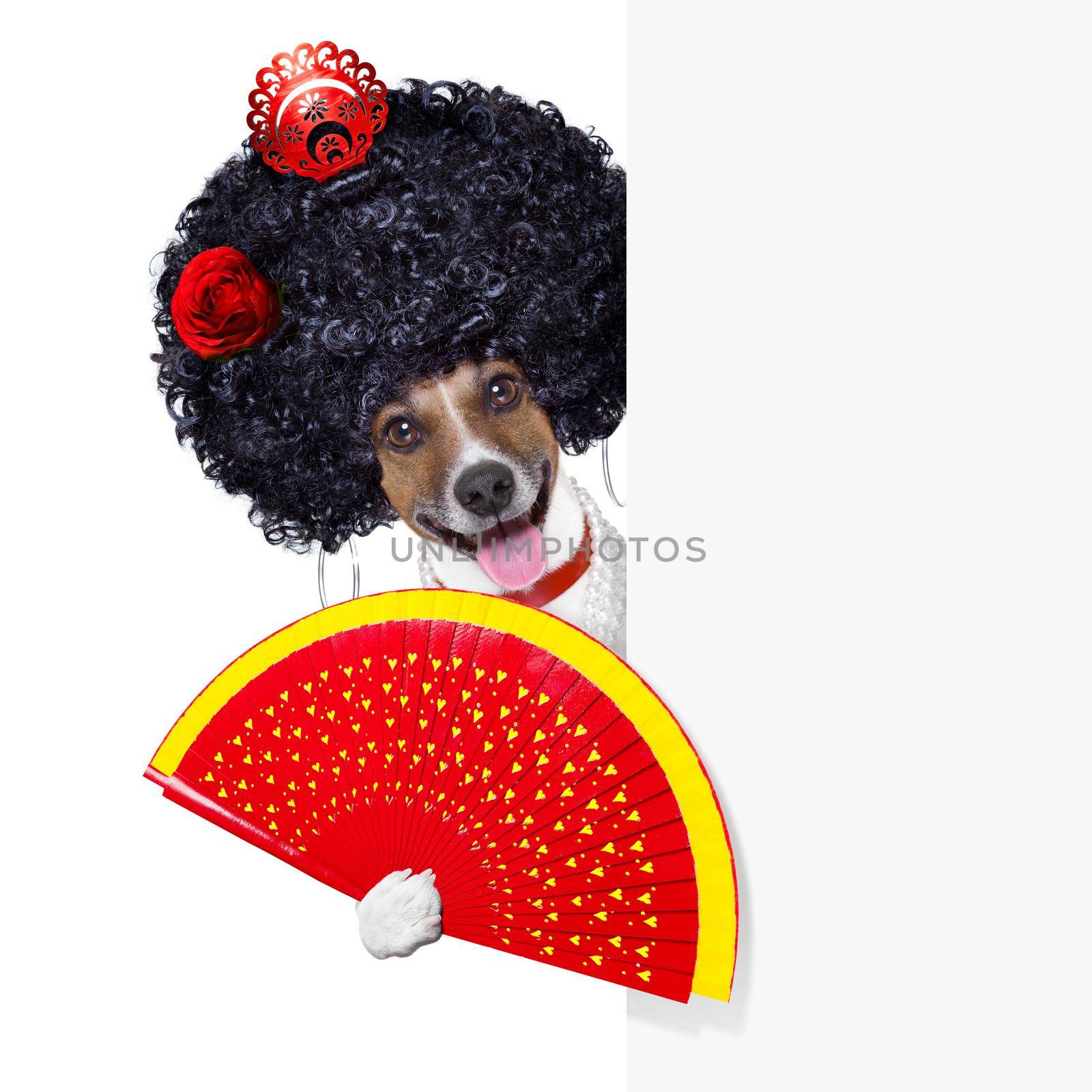 spanish dog by Brosch