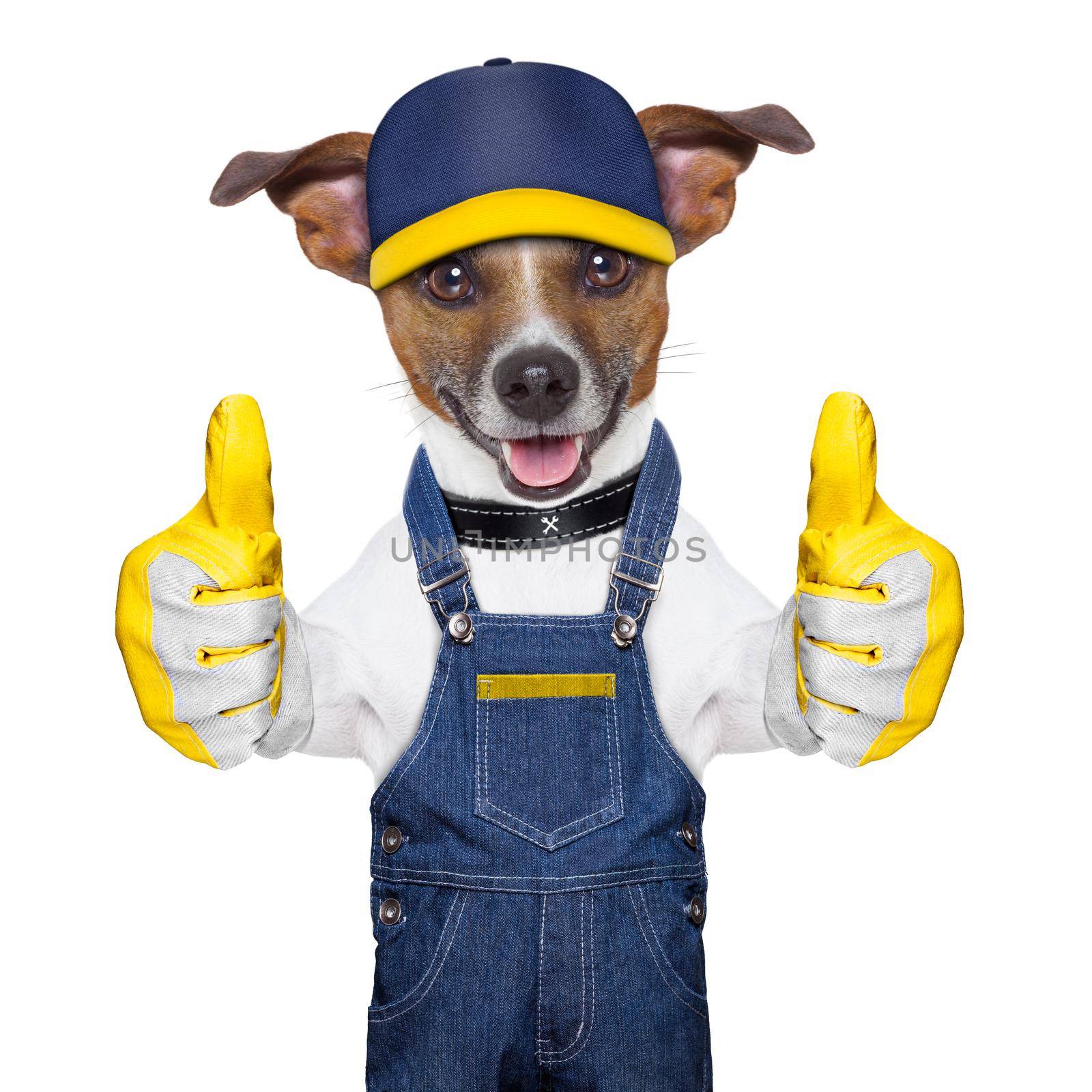 craftsman dog with two thumbs , happy to help