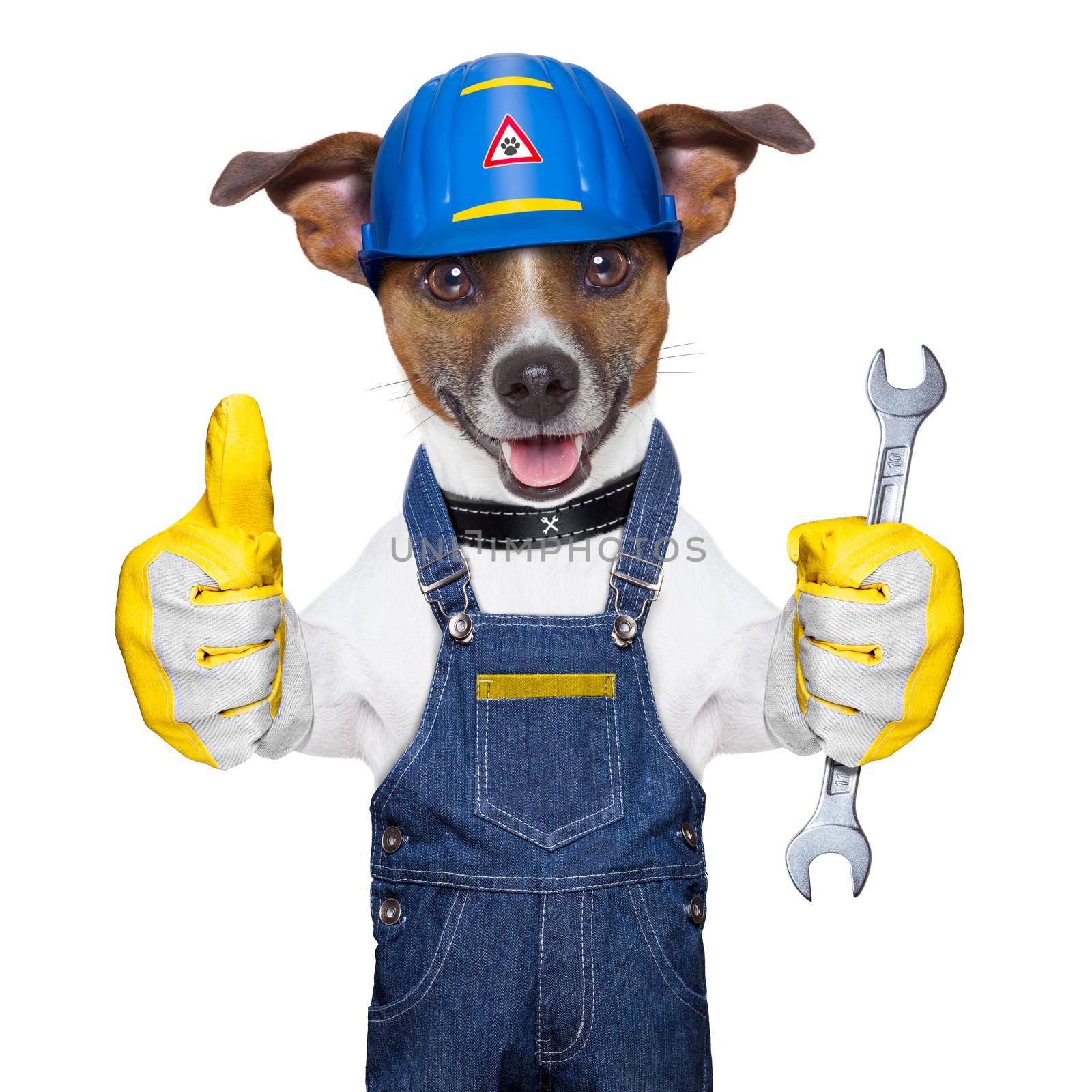craftsman dog with one thumb up holding a tool