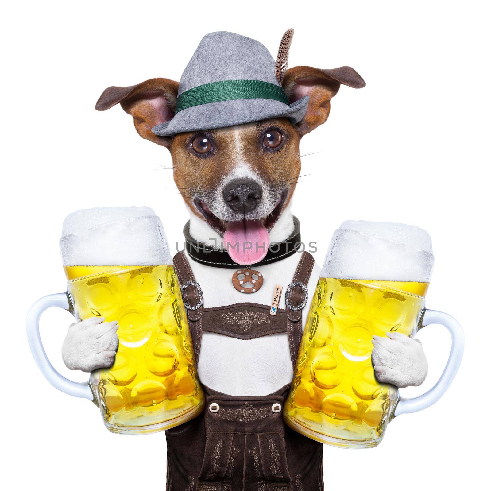 oktoberfest dog with two  beer mugs ,smiling happy