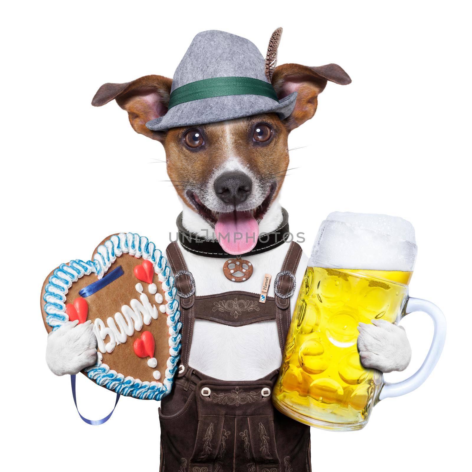 oktoberfest dog with beer mug and gingerbread heart, smiling happy