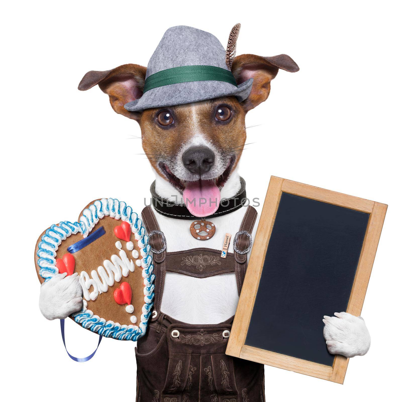 oktoberfest dog with blackboard and gingerbread heart, smiling happy