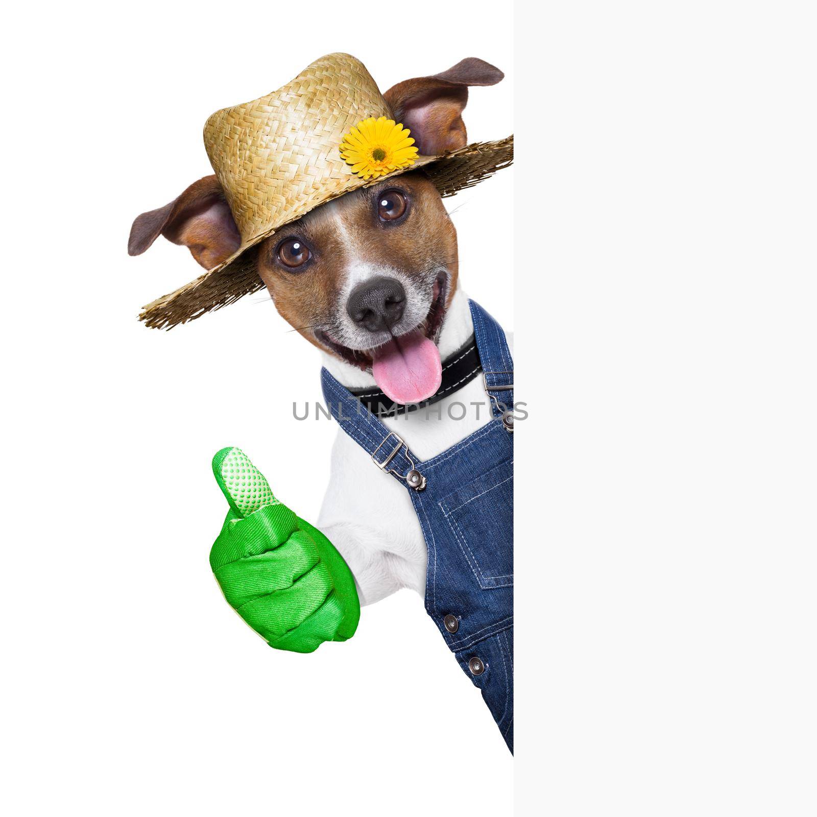 happy gardener dog with thumb up behind a placard