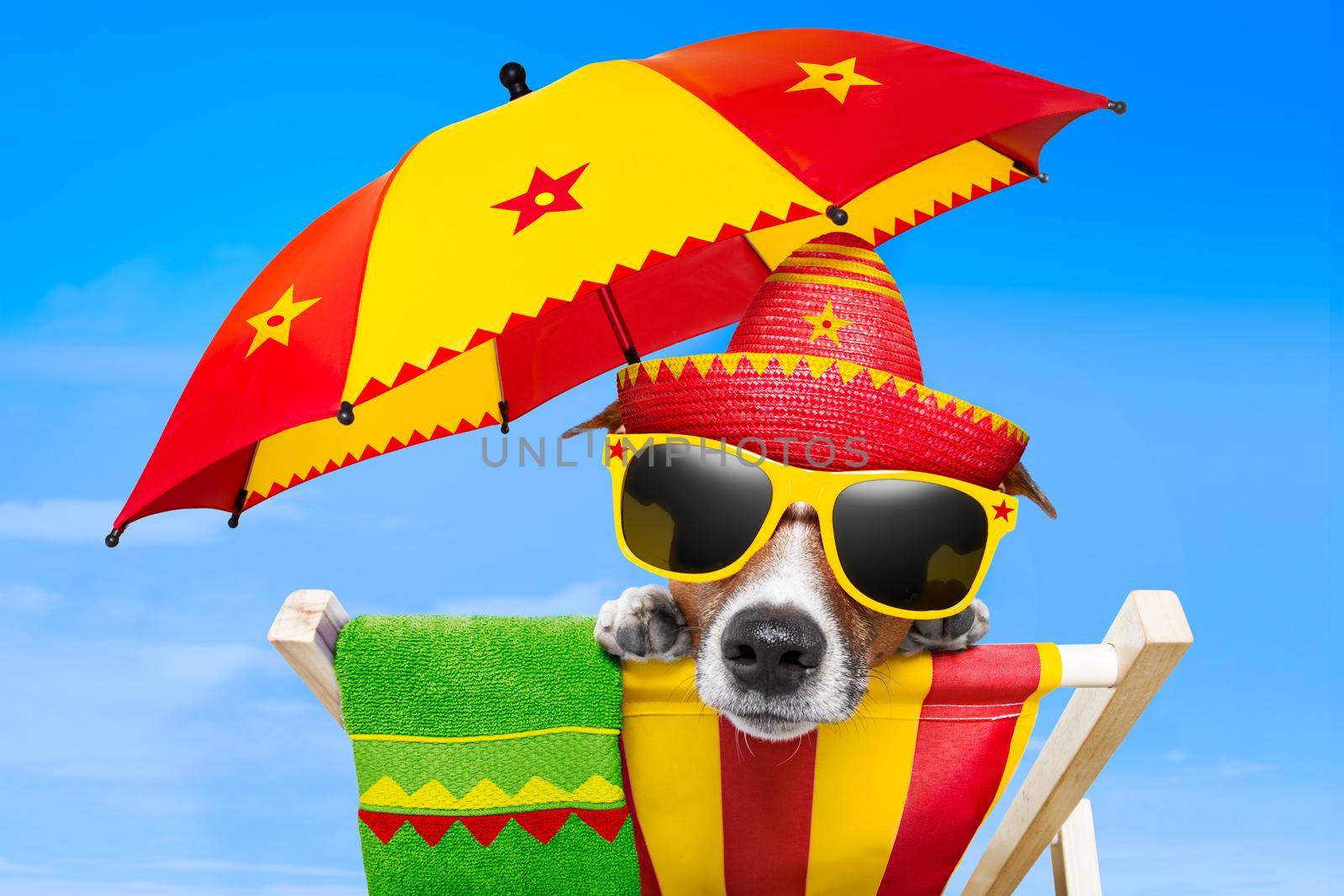 mexican dog on vacation relaxing on a deck chair under an umbrella