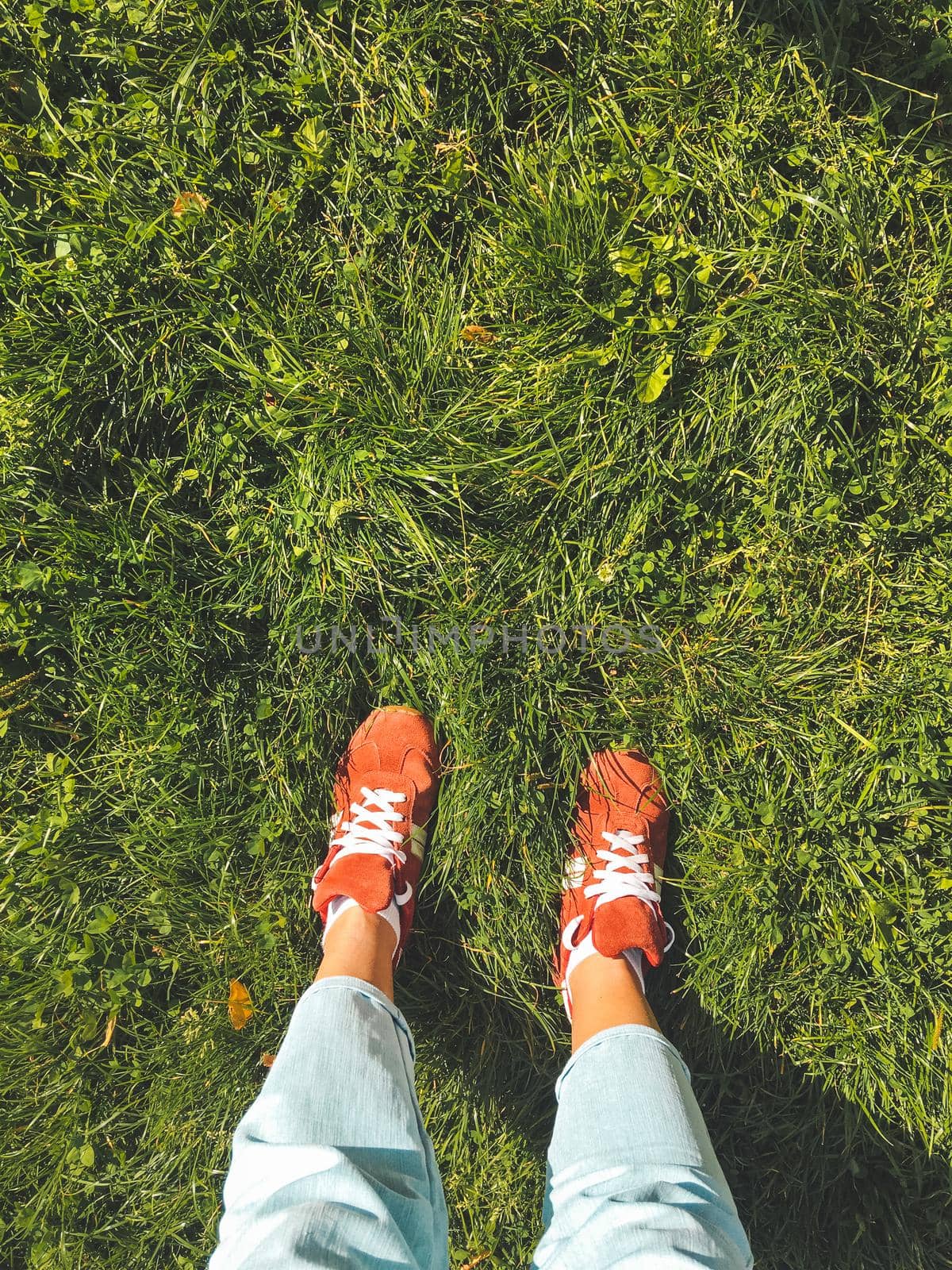 Woman in red sneakers stands on grass lawn. Top view on feet in bright sport shoes and light blue jeans. Outdoor leisure activity. Casual outfit. Natural summer background.