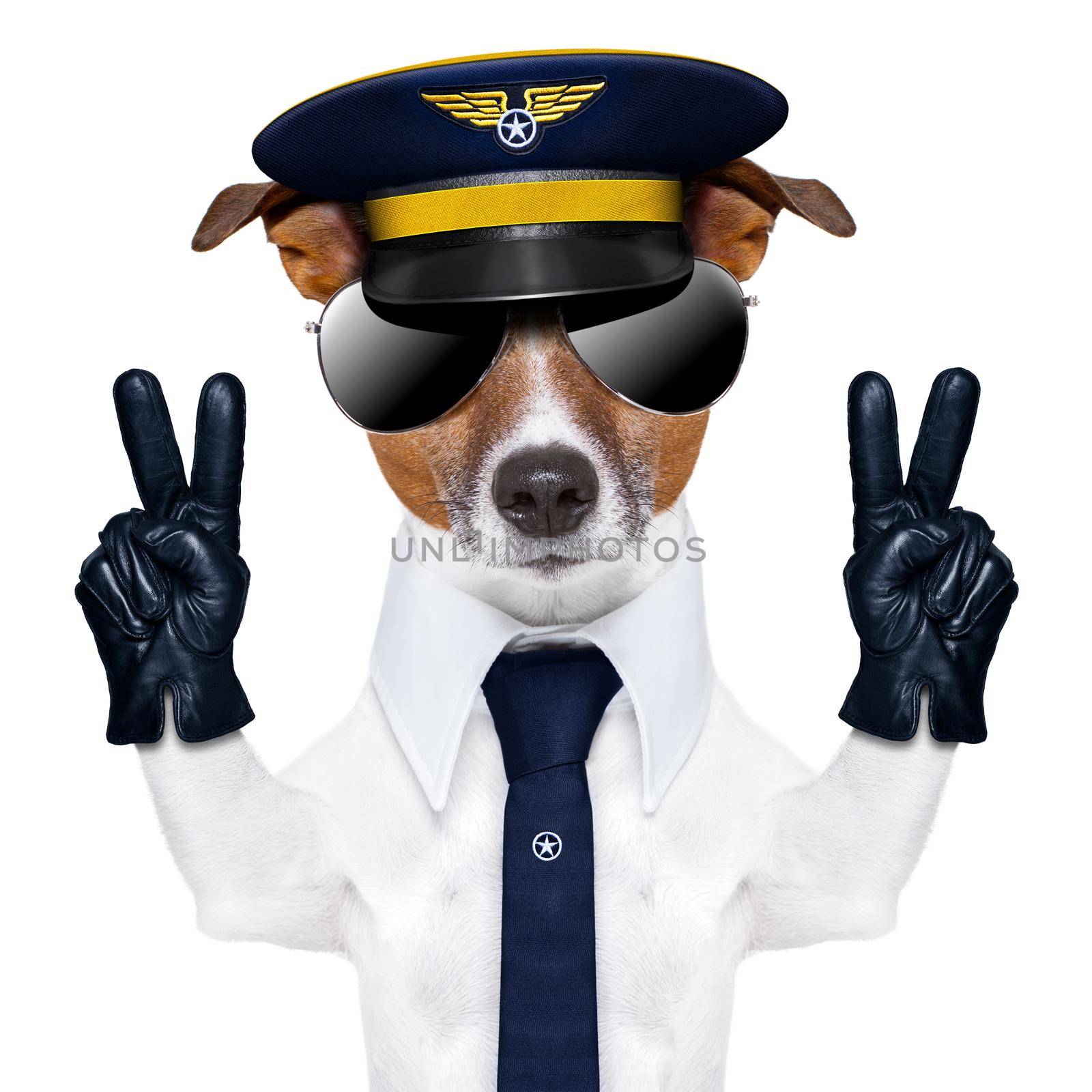 pilot captain dog with peace fingers and a blue tie