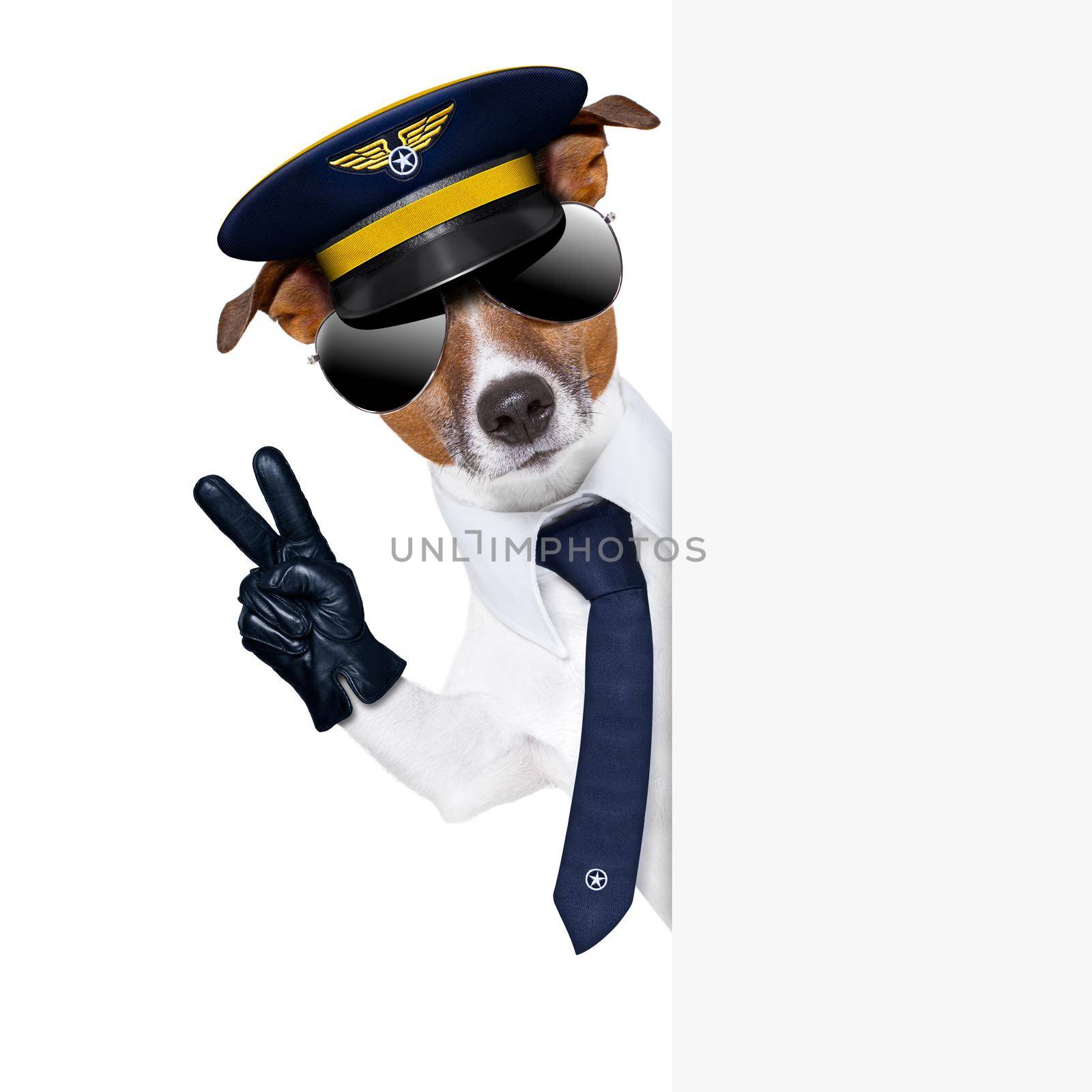 pilot captain dog behind a banner with peace fingers