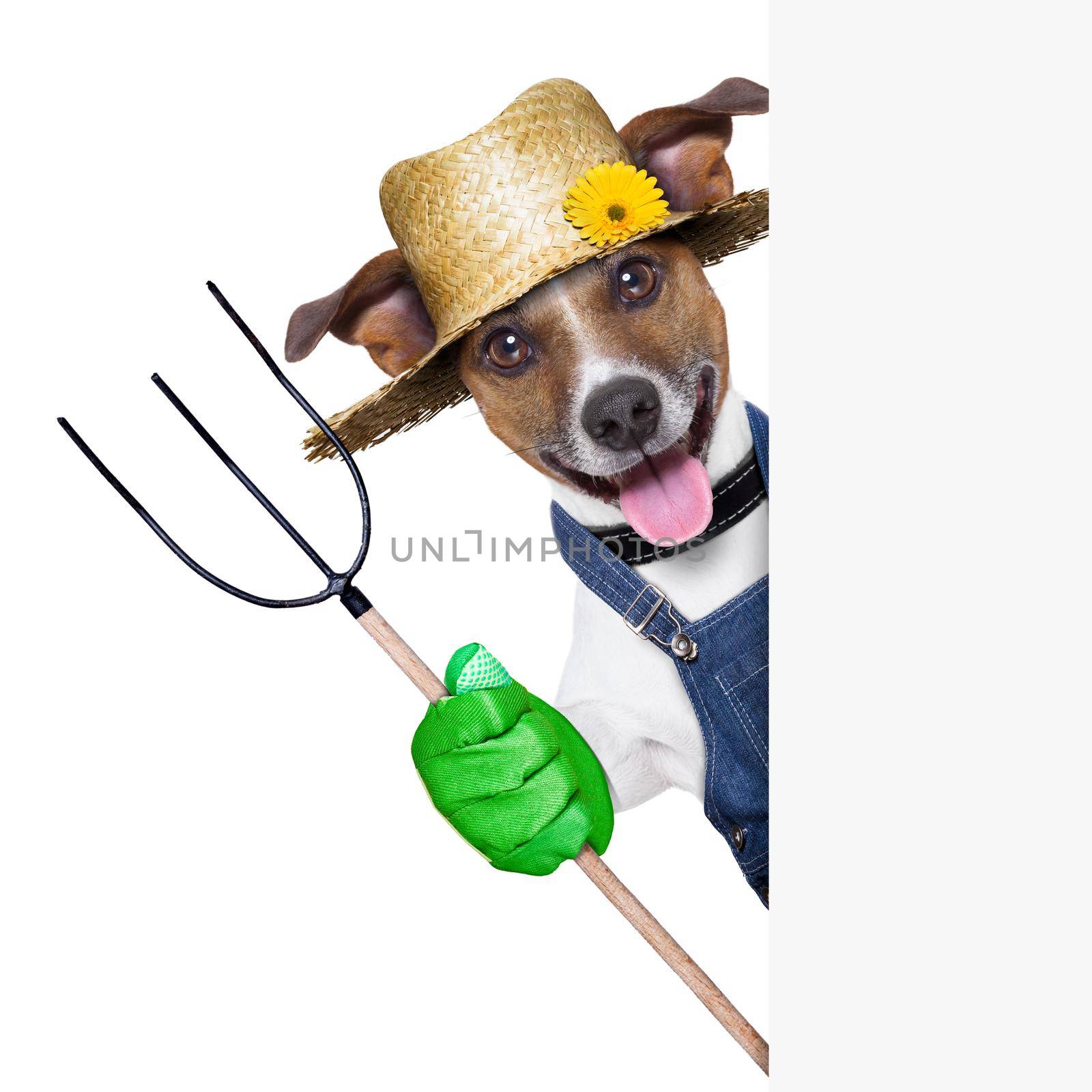 happy farmer dog with thumb up holding a pitchfork behind a placard
