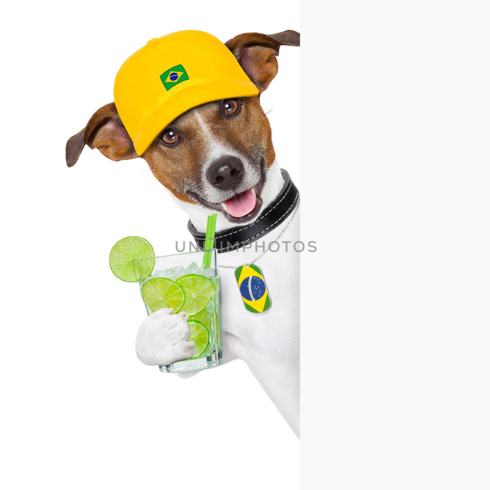brazil samba dog with caipirinha, behind white banner