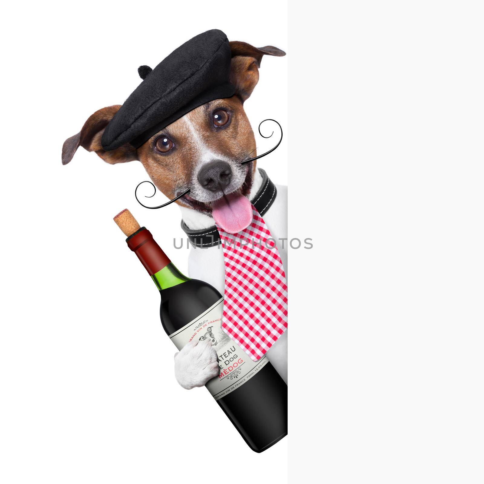 french dog with red wine and behind placard