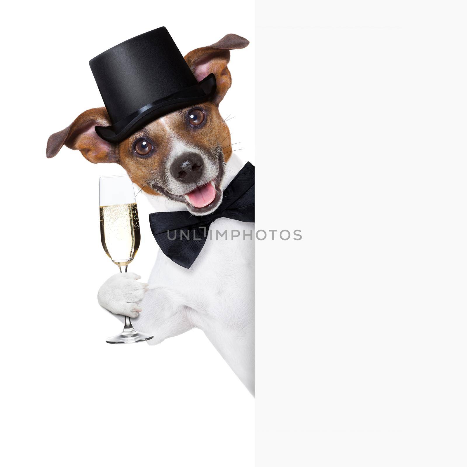 dog toasting with champagne glass behind  a white placard