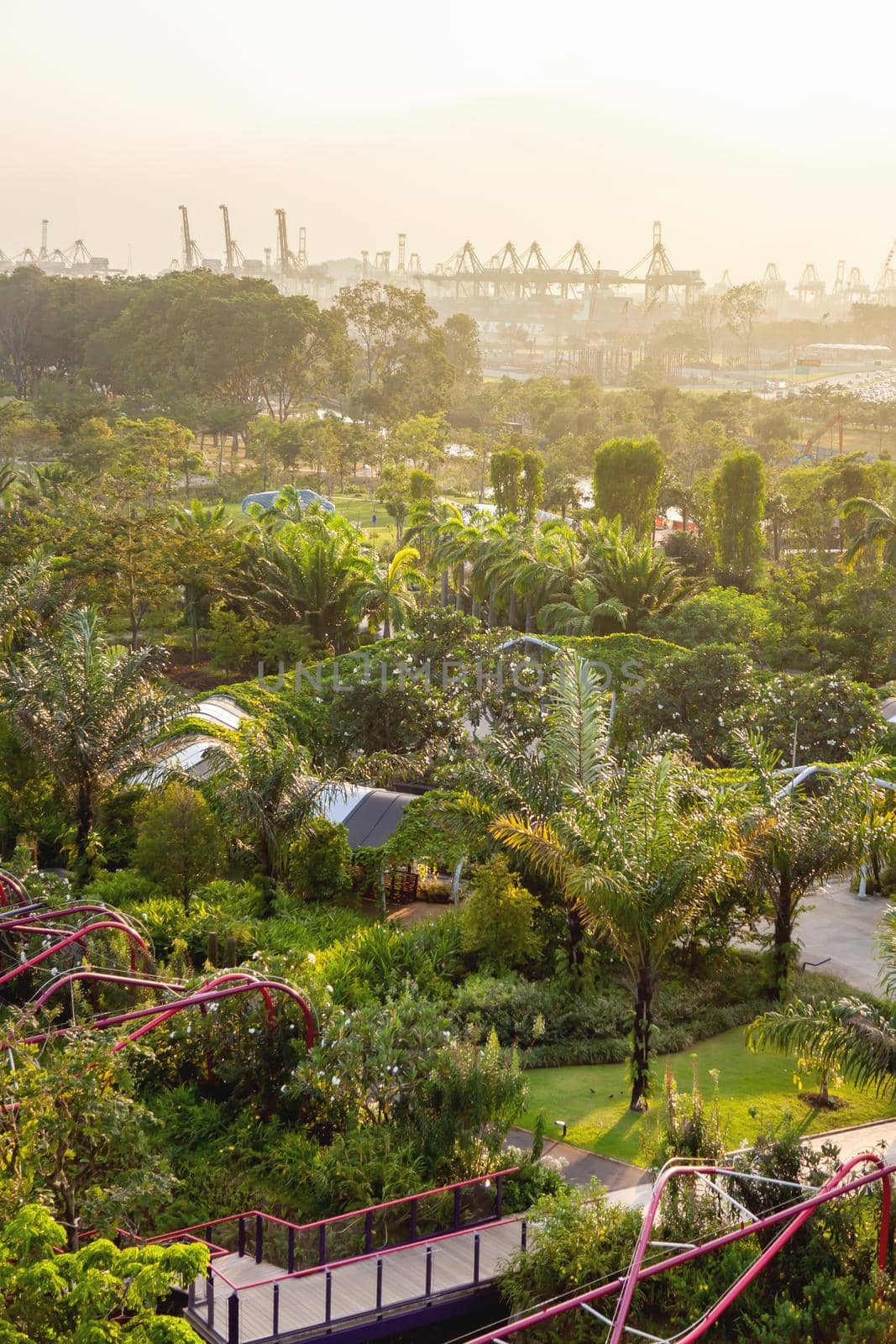 SINGAPORE, SINGAPORE - January 17, 2013. Panorama sunset view of sea port and grounds of Gardens by the Bay. Famous park near downtown. by aksenovko