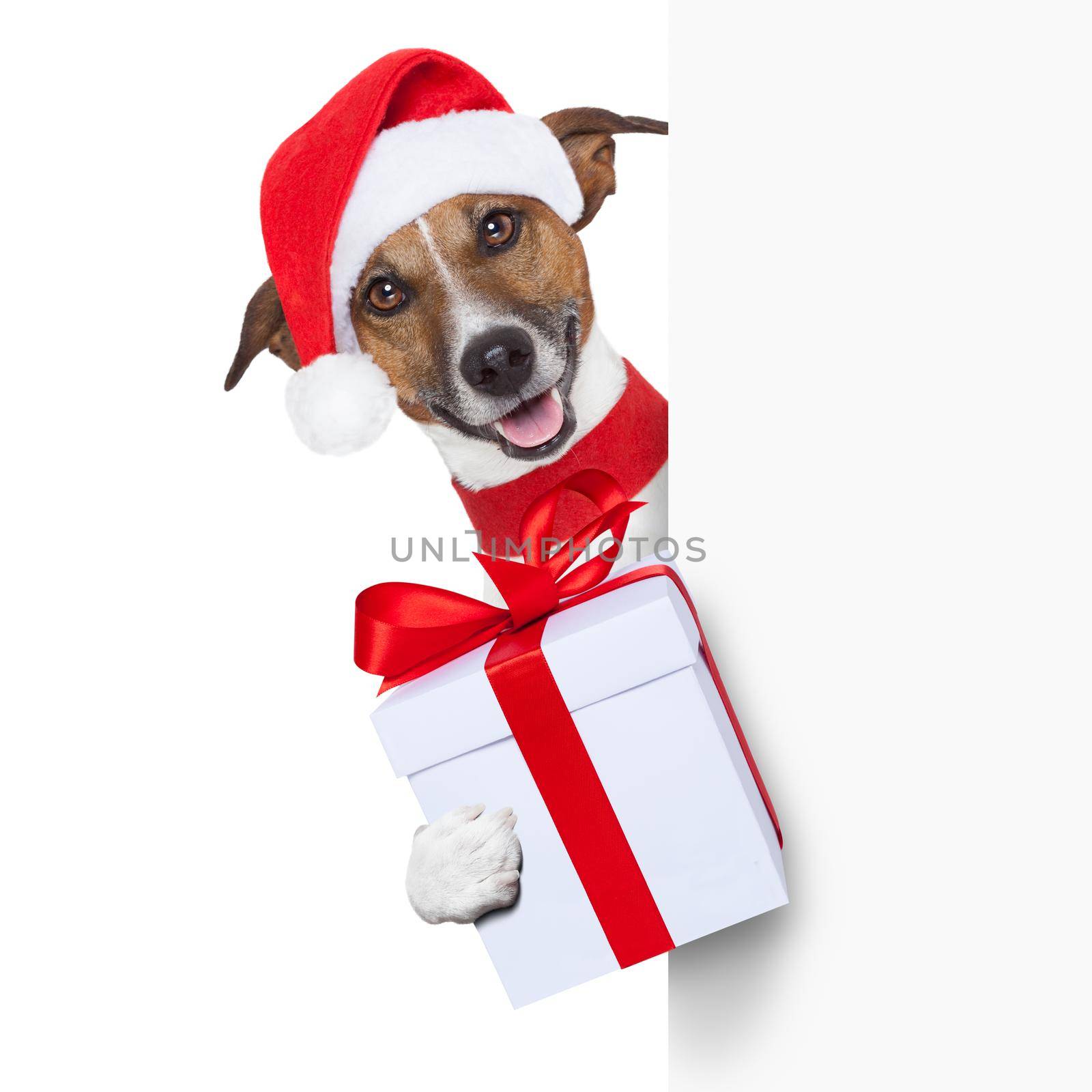 christmas dog as santa behind placard with big present as a gift