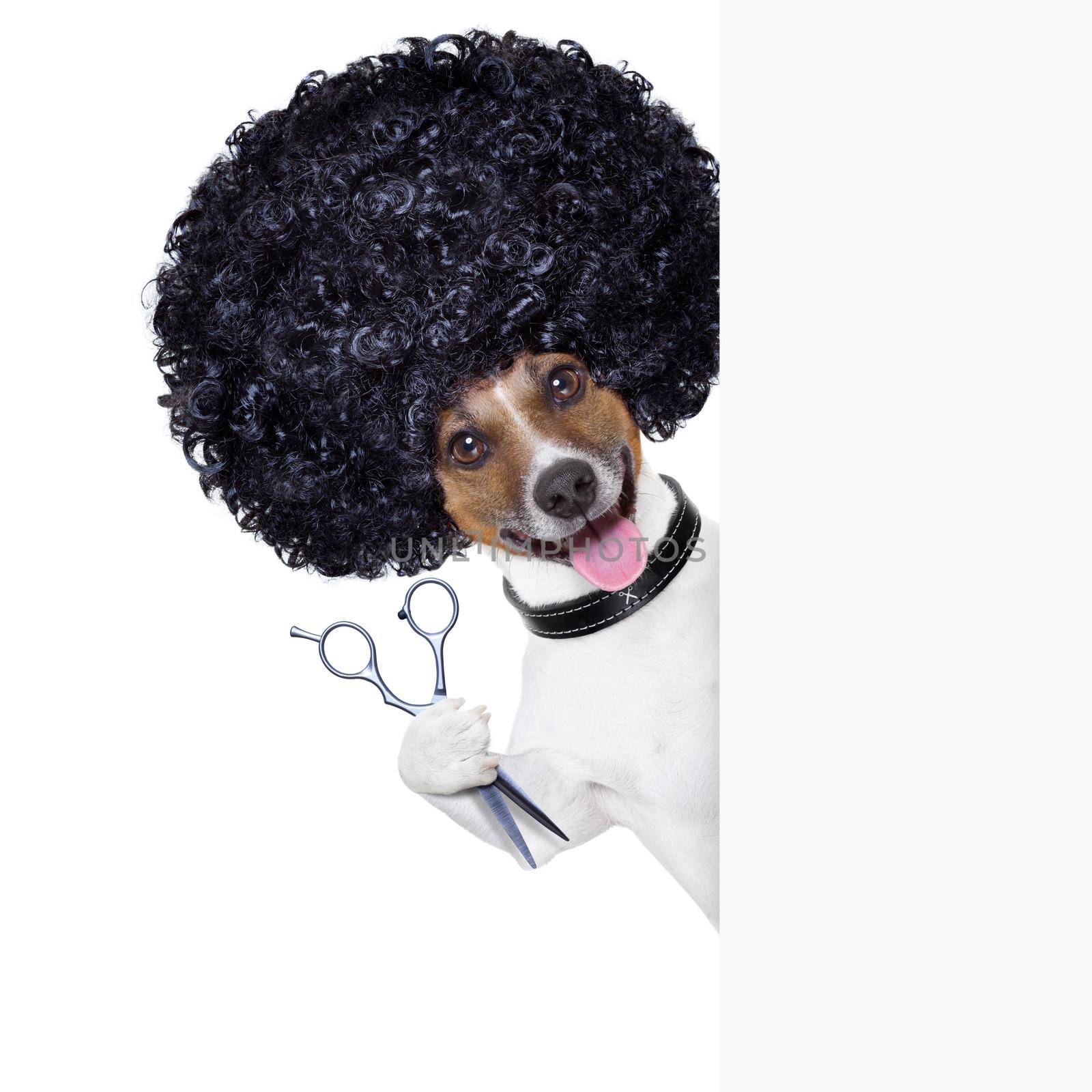 hairdresser  scissors comb dog beside white banner