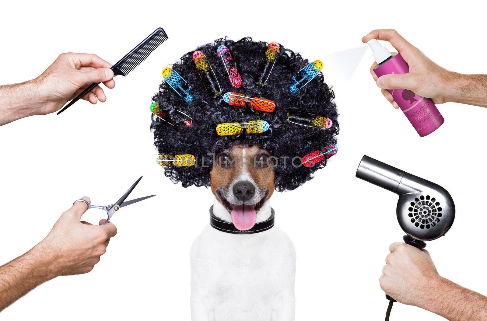 hairdresser  scissors comb dog spray  by Brosch