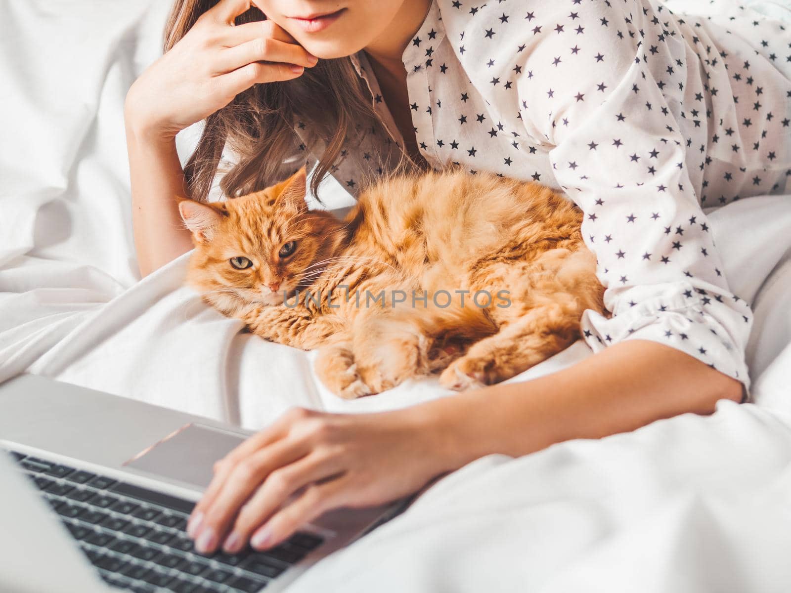 Cute ginger cat and woman are lying in bed. Woman watching online video translation or new TV series. Online communication. Morning bedtime with fluffy pet.