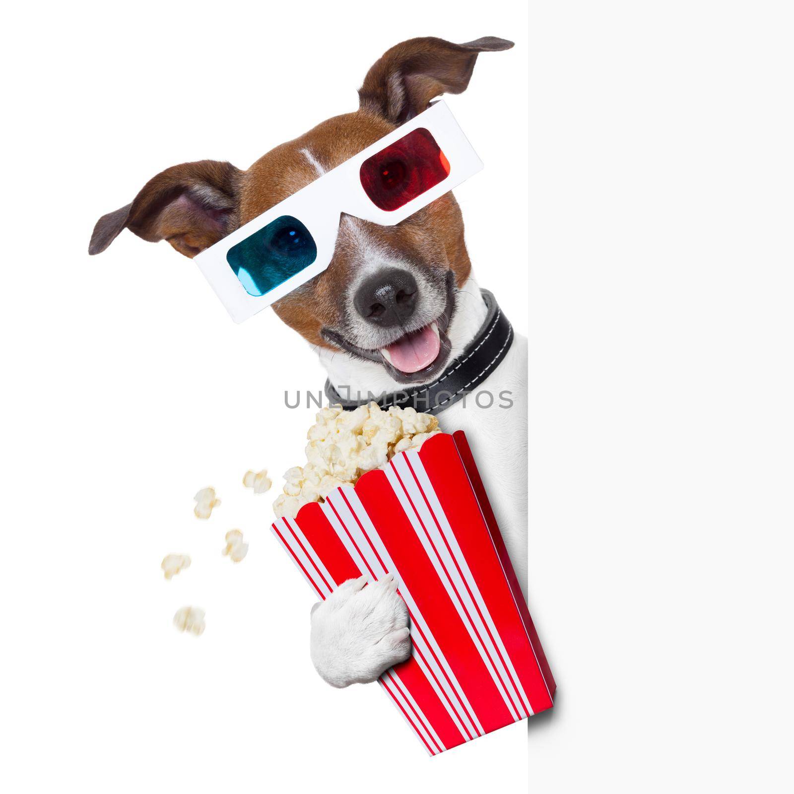 3d glasses dog with  popcorn beside a white banner