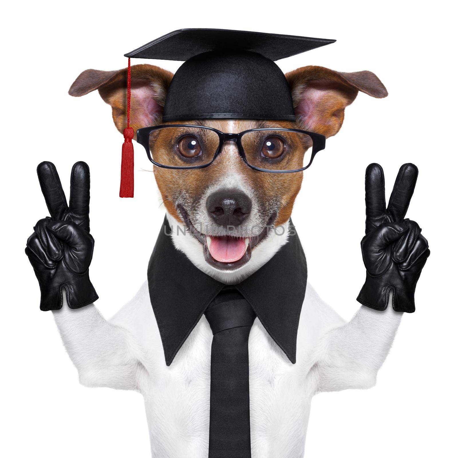 graduate dog with peace fingers and happy
