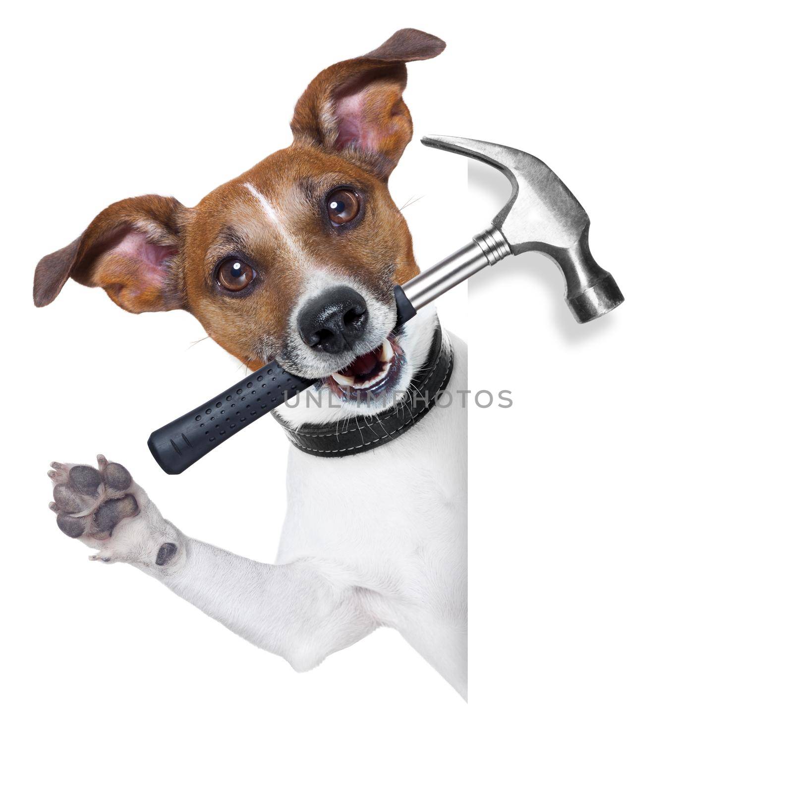 craftsman dog with hammer in mouth beside a white blank banner