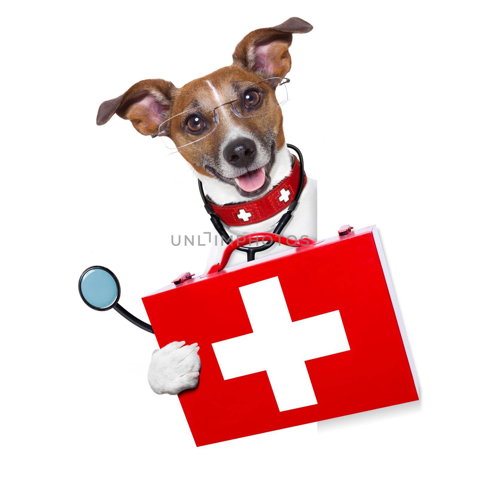 medical doctor dog beside a blank banner