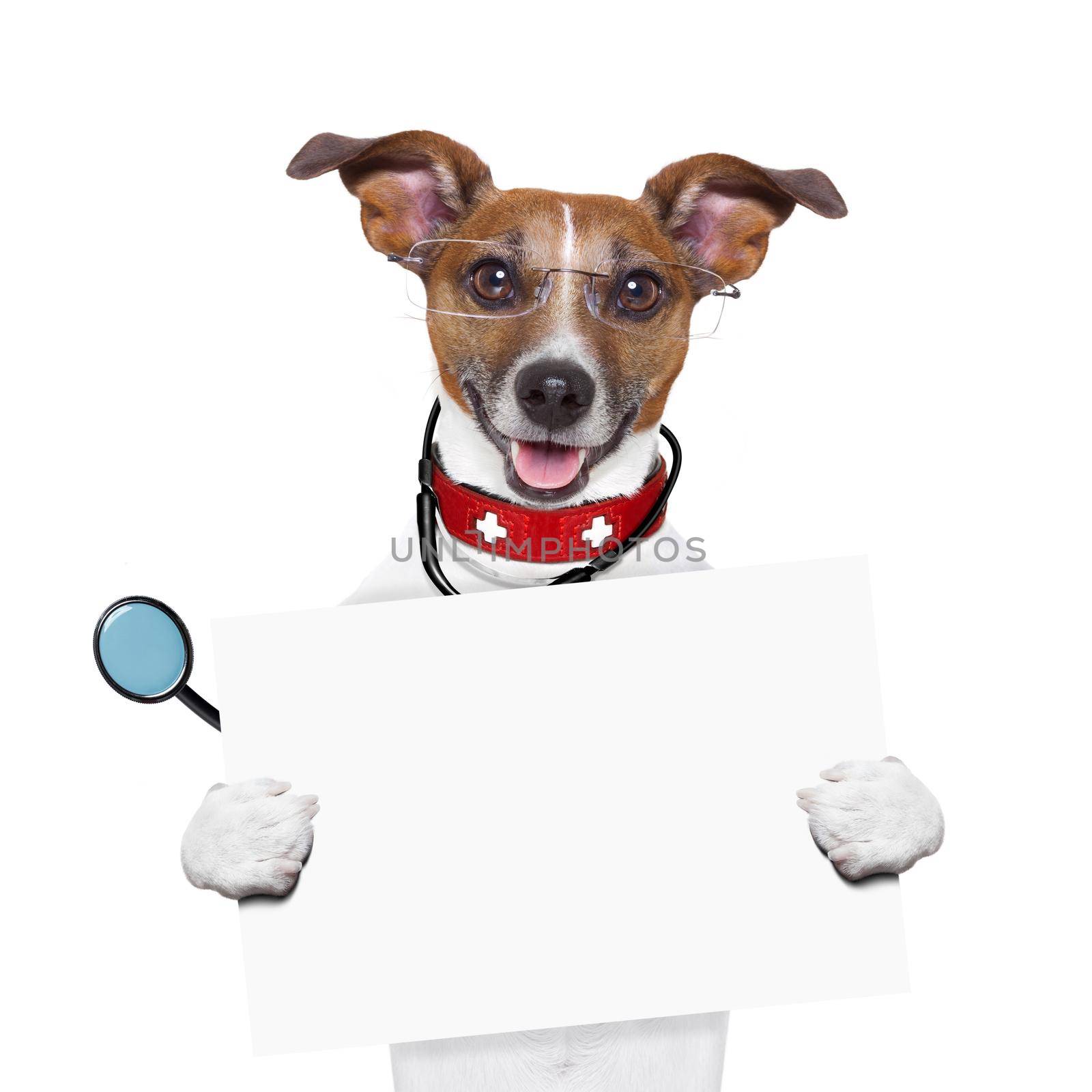 medical doctor dog holding a blank banner