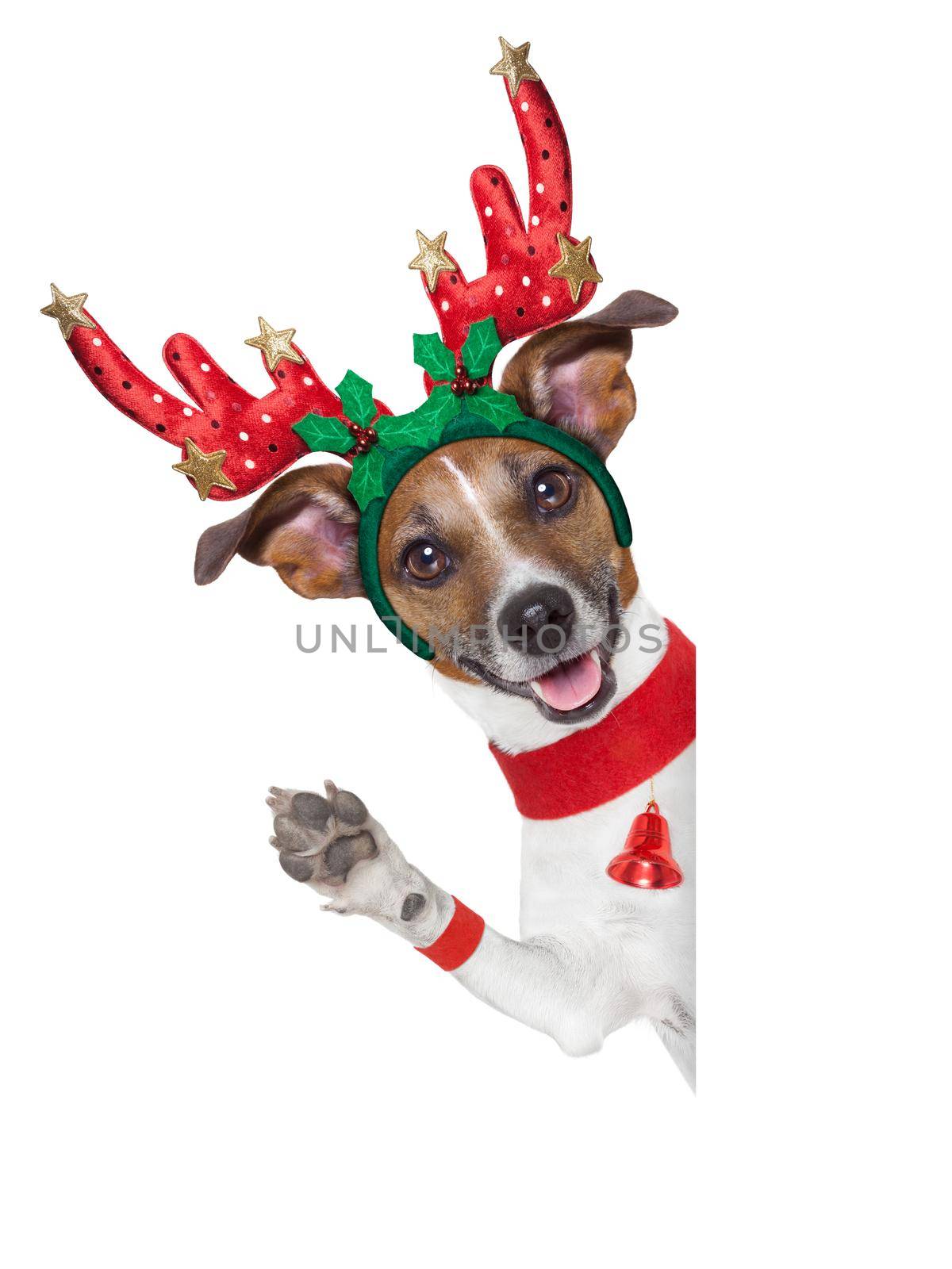 reindeer dog behind a blank banner with waving with paw