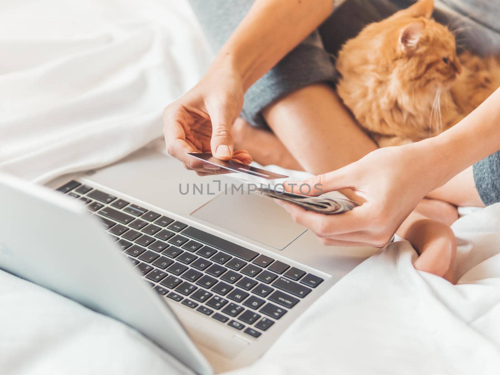 Cute ginger cat and woman in bed with laptop. Woman is making online order and paying with credit cards. Online shopping. Morning bedtime with fluffy pet.