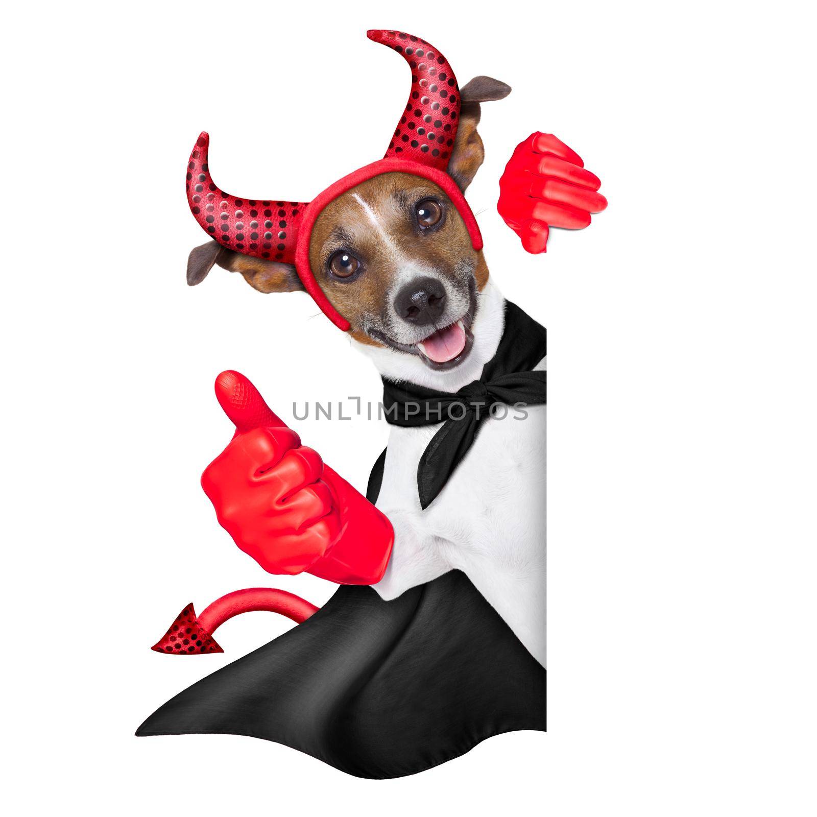 devil dog  by Brosch