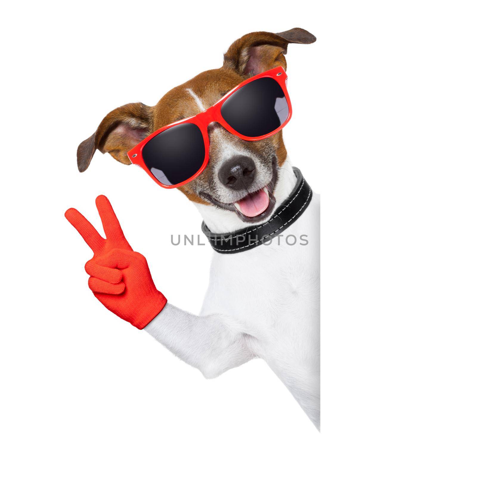 peace fingers dog by Brosch