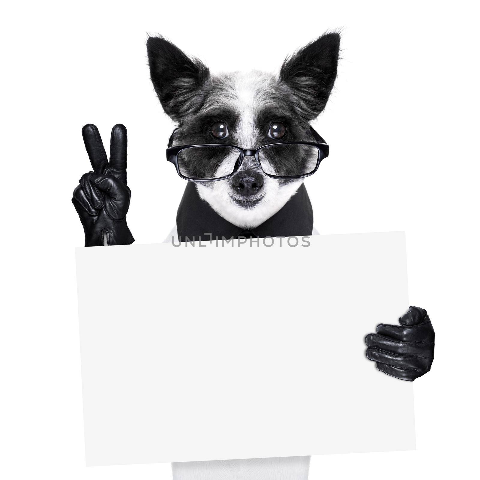 peace  fingers dog with black gloves and glasses holding a banner