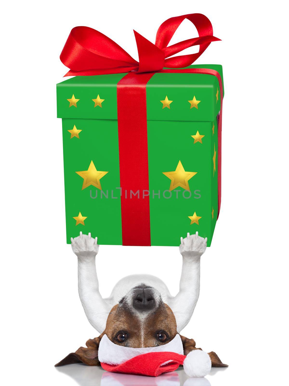 christmas dog by Brosch