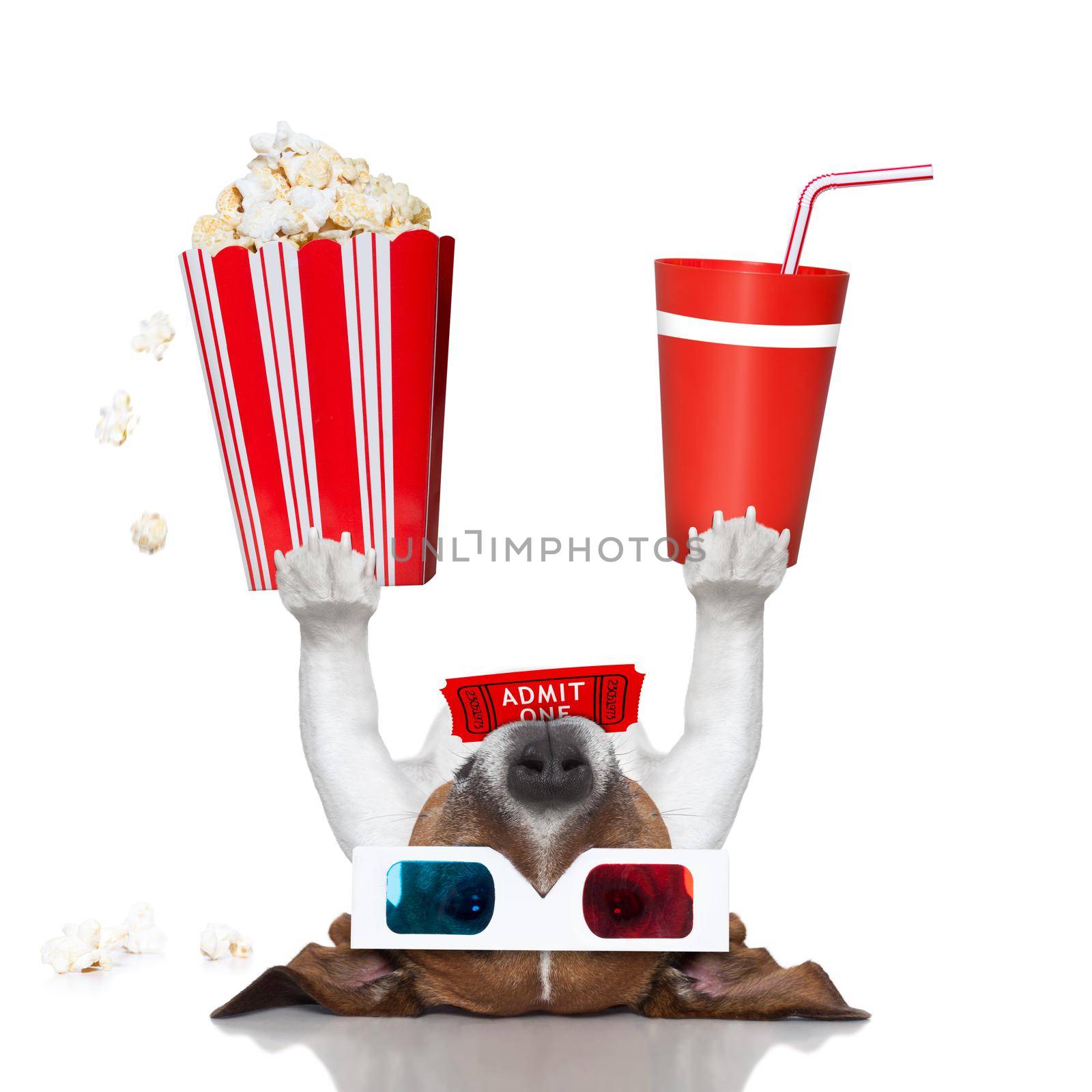movie dog up side down holding popcorn and coke