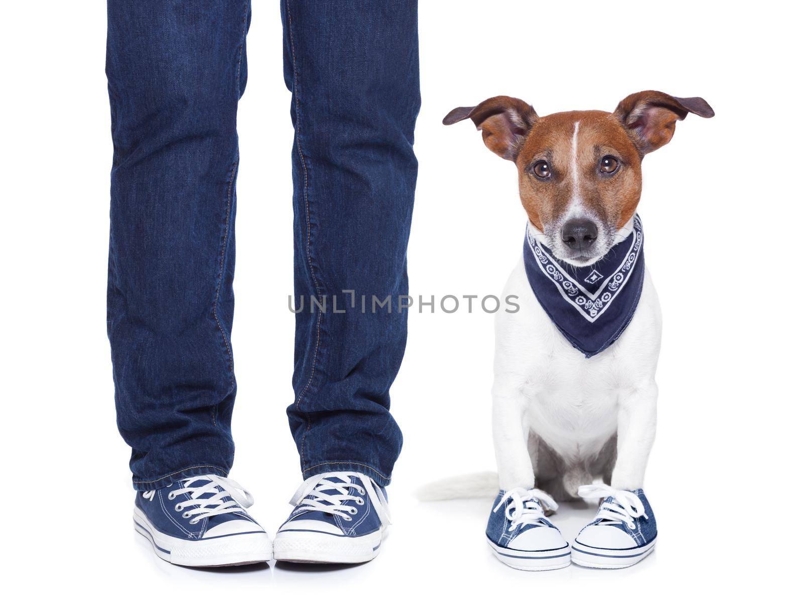 dog owner with dog both wearing sneakers