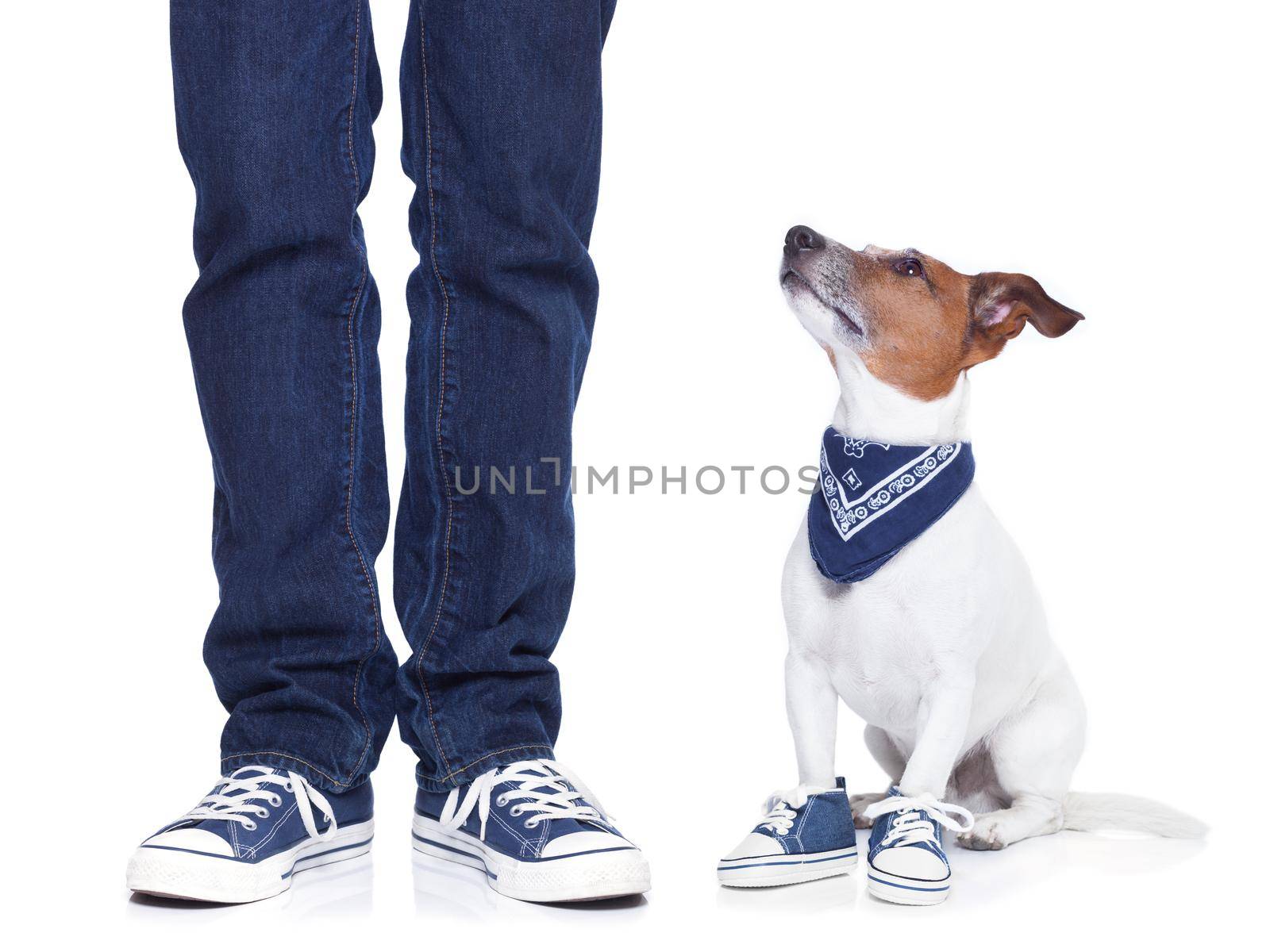 dog owner with dog both wearing sneakers and a skateboard