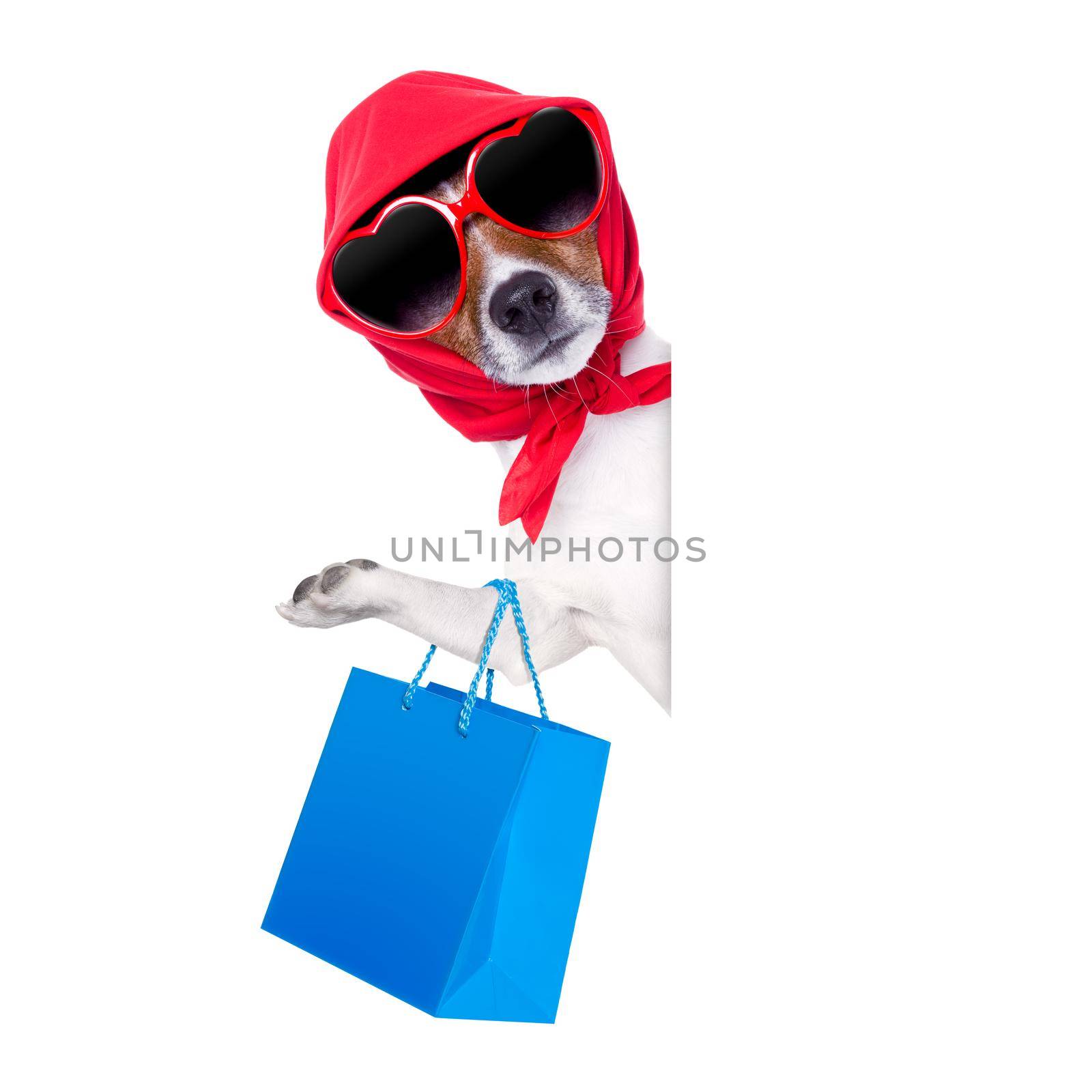 shopping diva dog holding a blue shopping bag wearing sunglasses