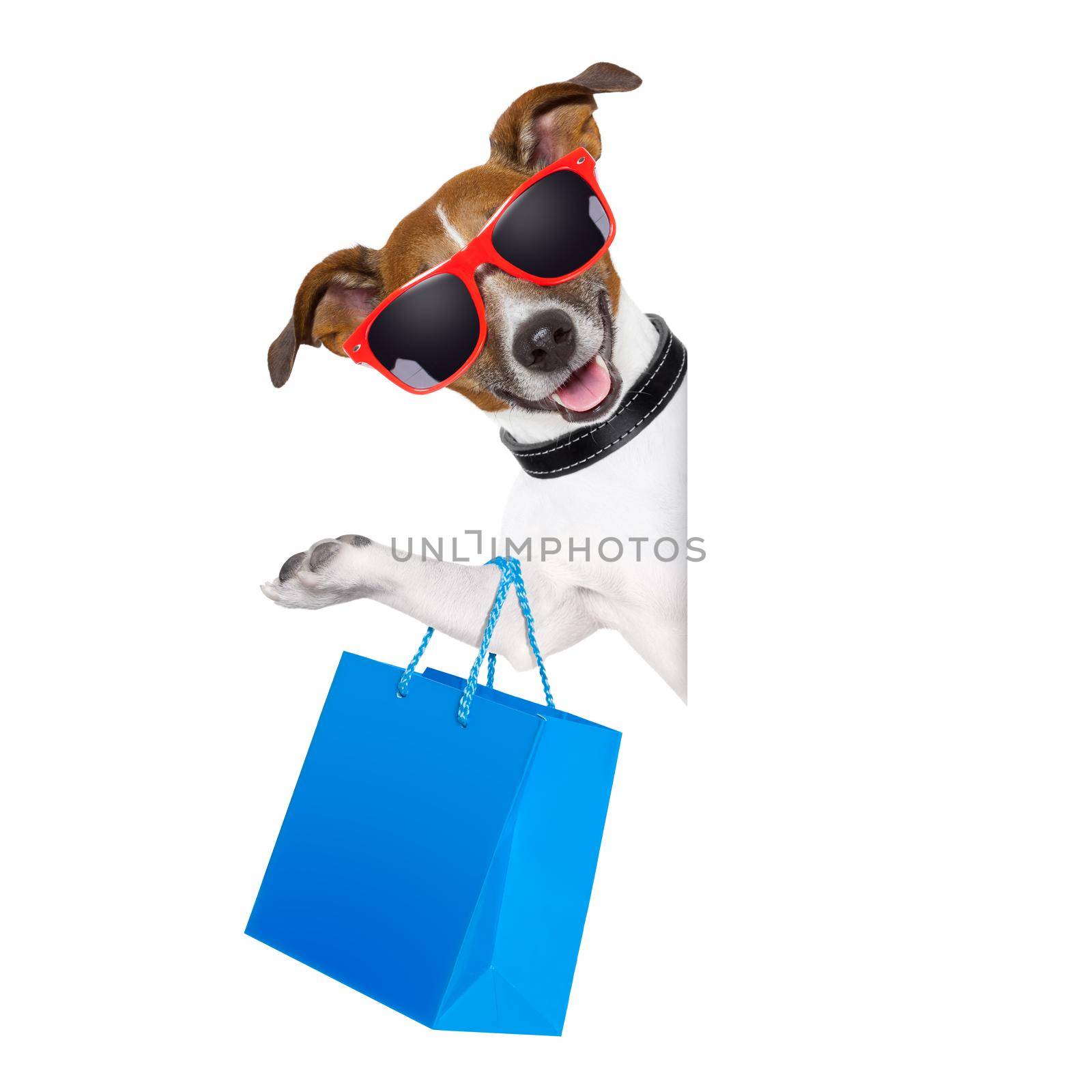shopping dog holding a blue shopping bag wearing sunglasses