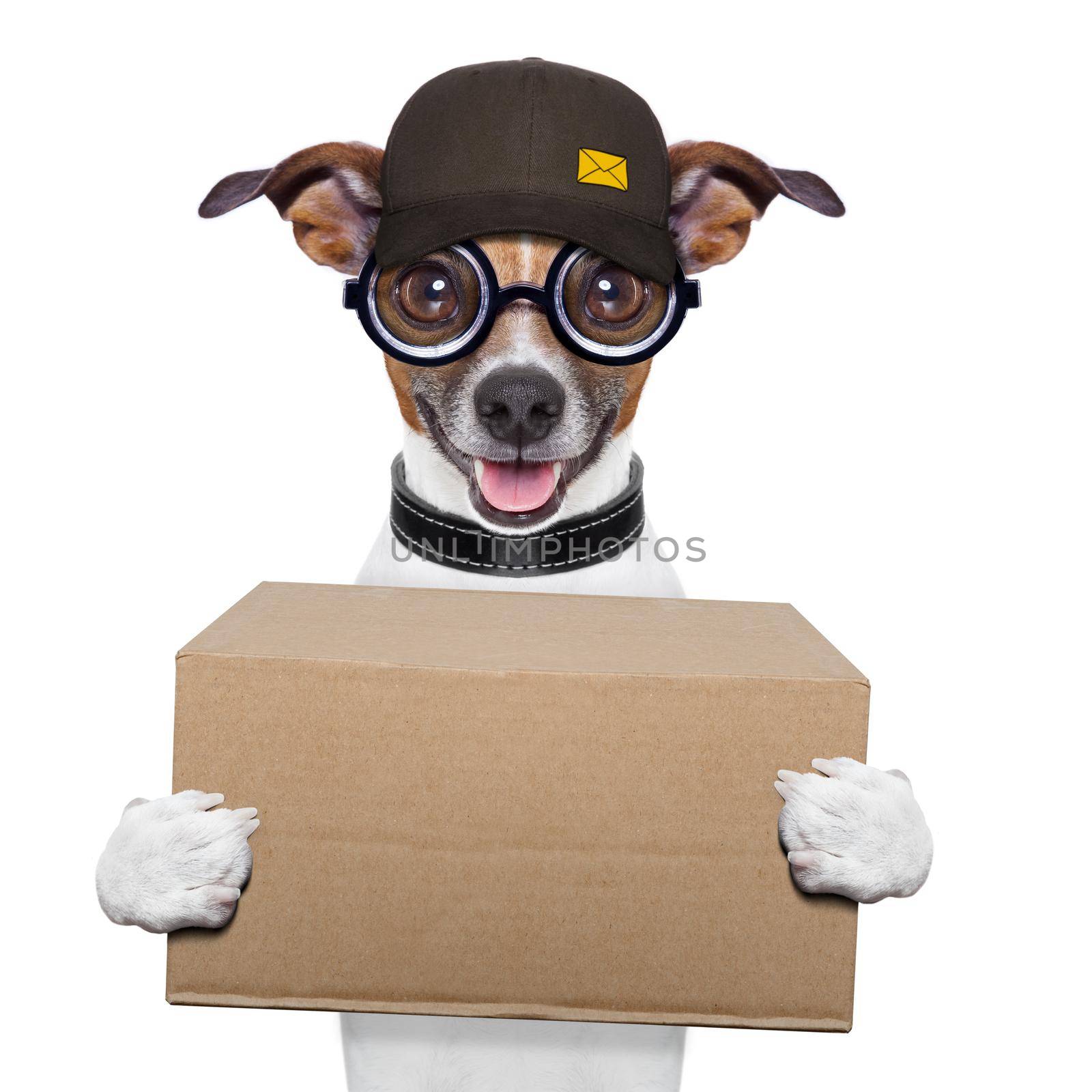postal dog delivering a big brown package