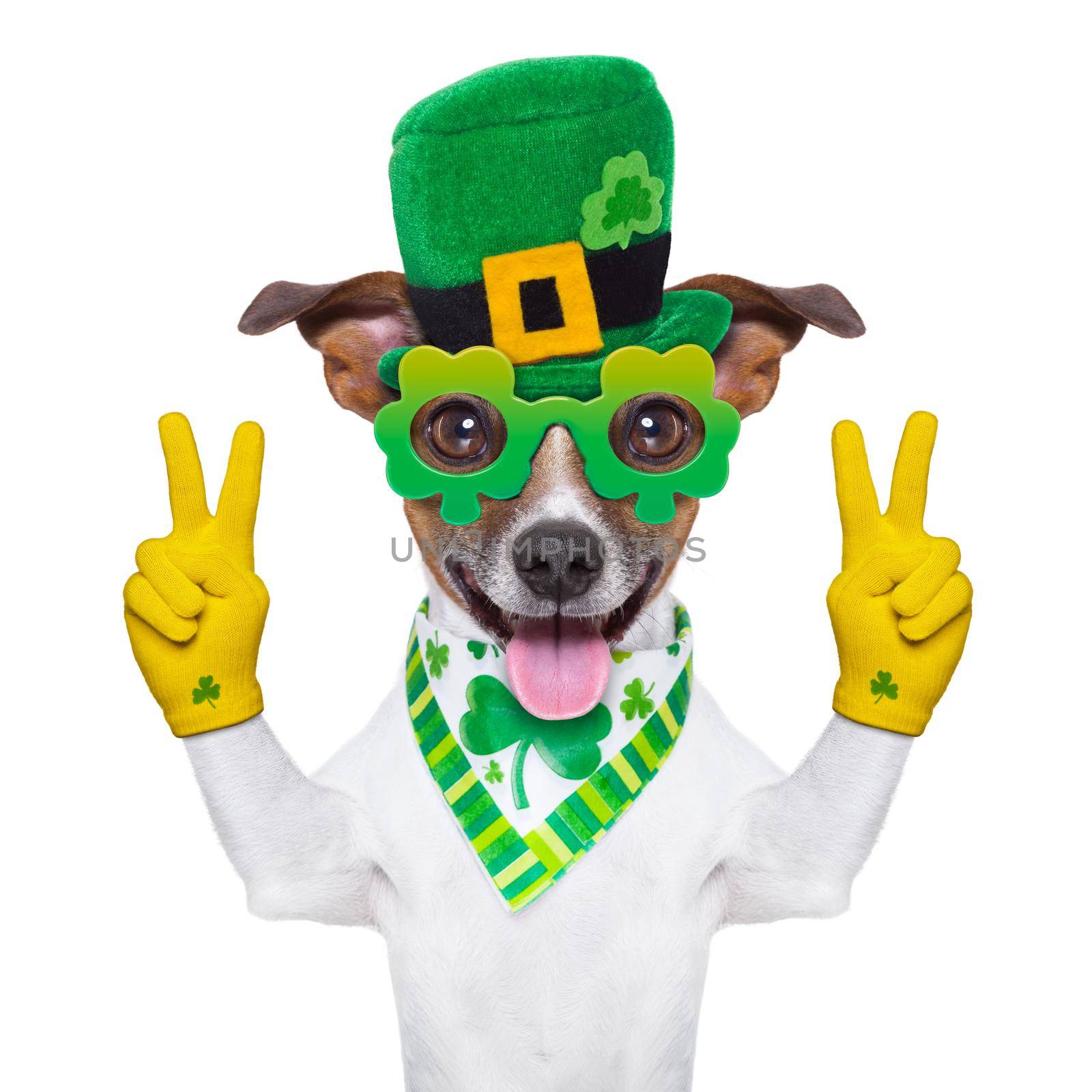 st patricks  day dog with peace fingers