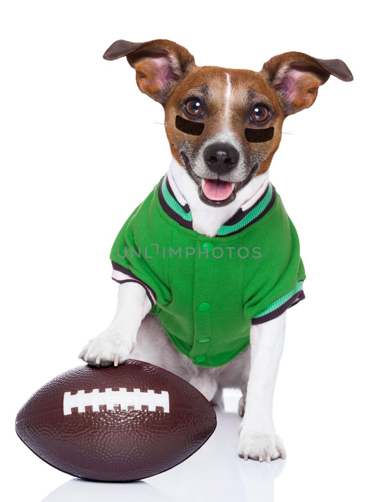 sporty rugby dog with a big sport ball