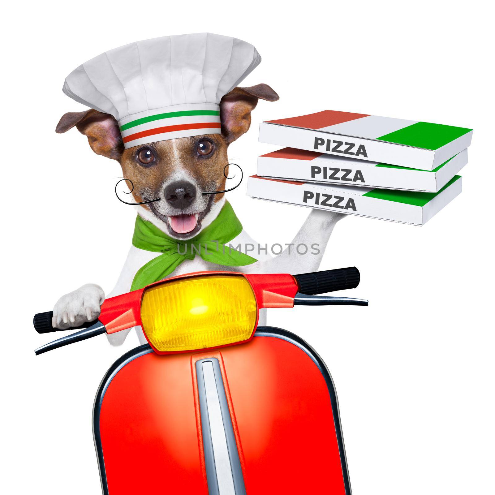 pizza delivery dog with a stack of pizza boxes on a motorbike