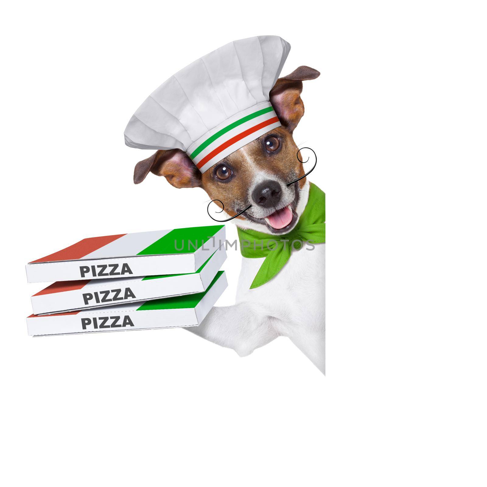 pizza delivery dog with a stack of pizza boxes behind a blank placard