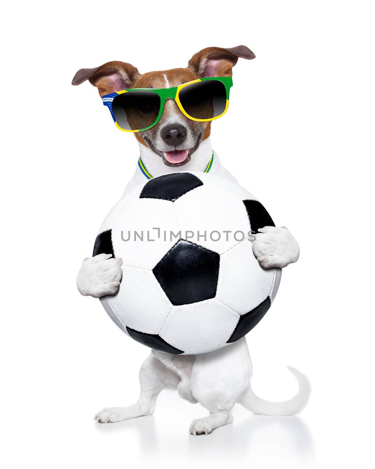 brazil soccer dog  with ball  and medal