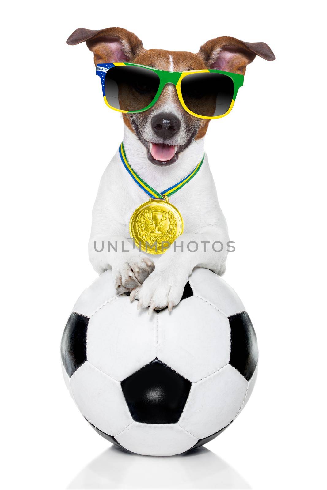 brazil soccer dog by Brosch
